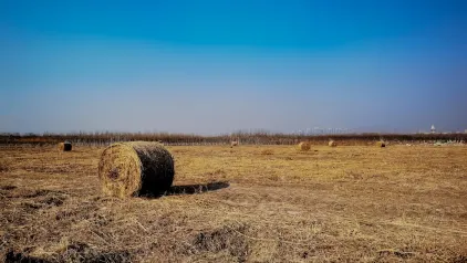 Winzinator Kasino Mobilná aplikácia